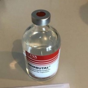 Order Nembutal injection legally